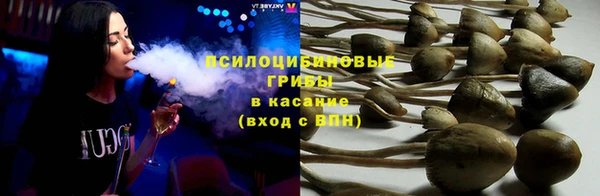 индика Красноперекопск