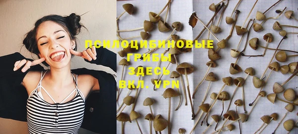 а пвп мука Краснослободск