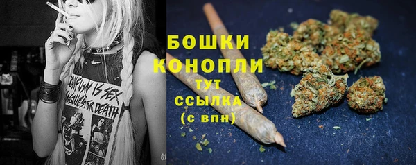 прущие грибы Верея
