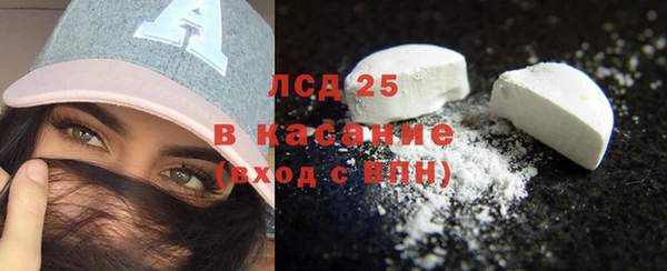 индика Красноперекопск